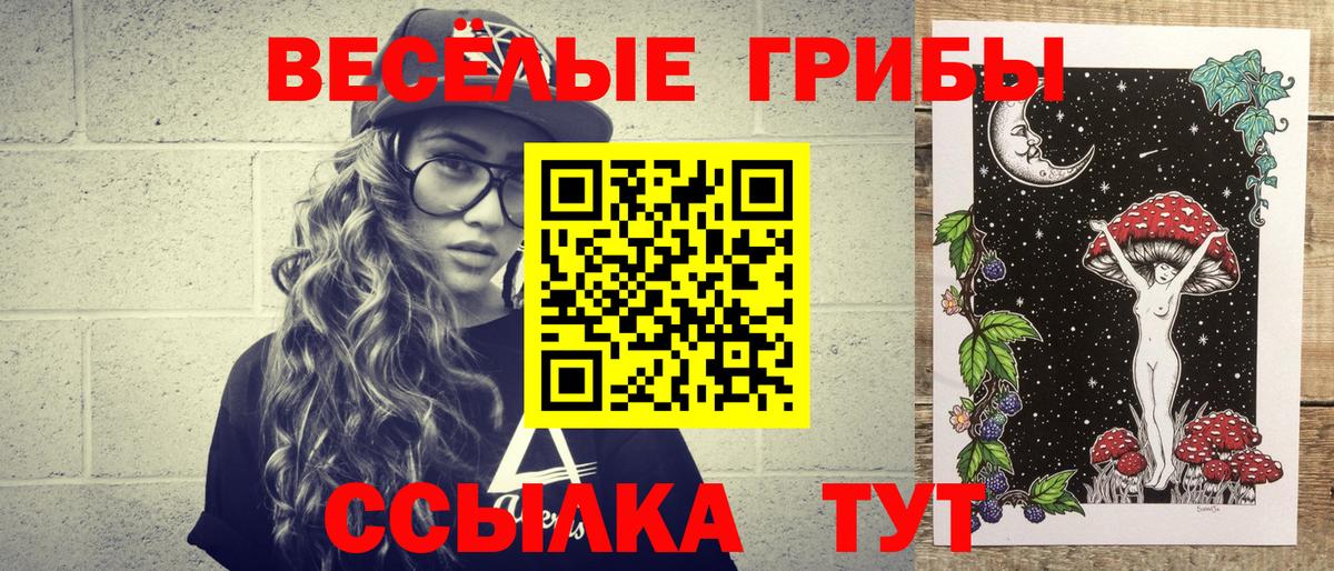 Димитровград  Псилоцибиновые грибы ЛСД  Вход с VPN 